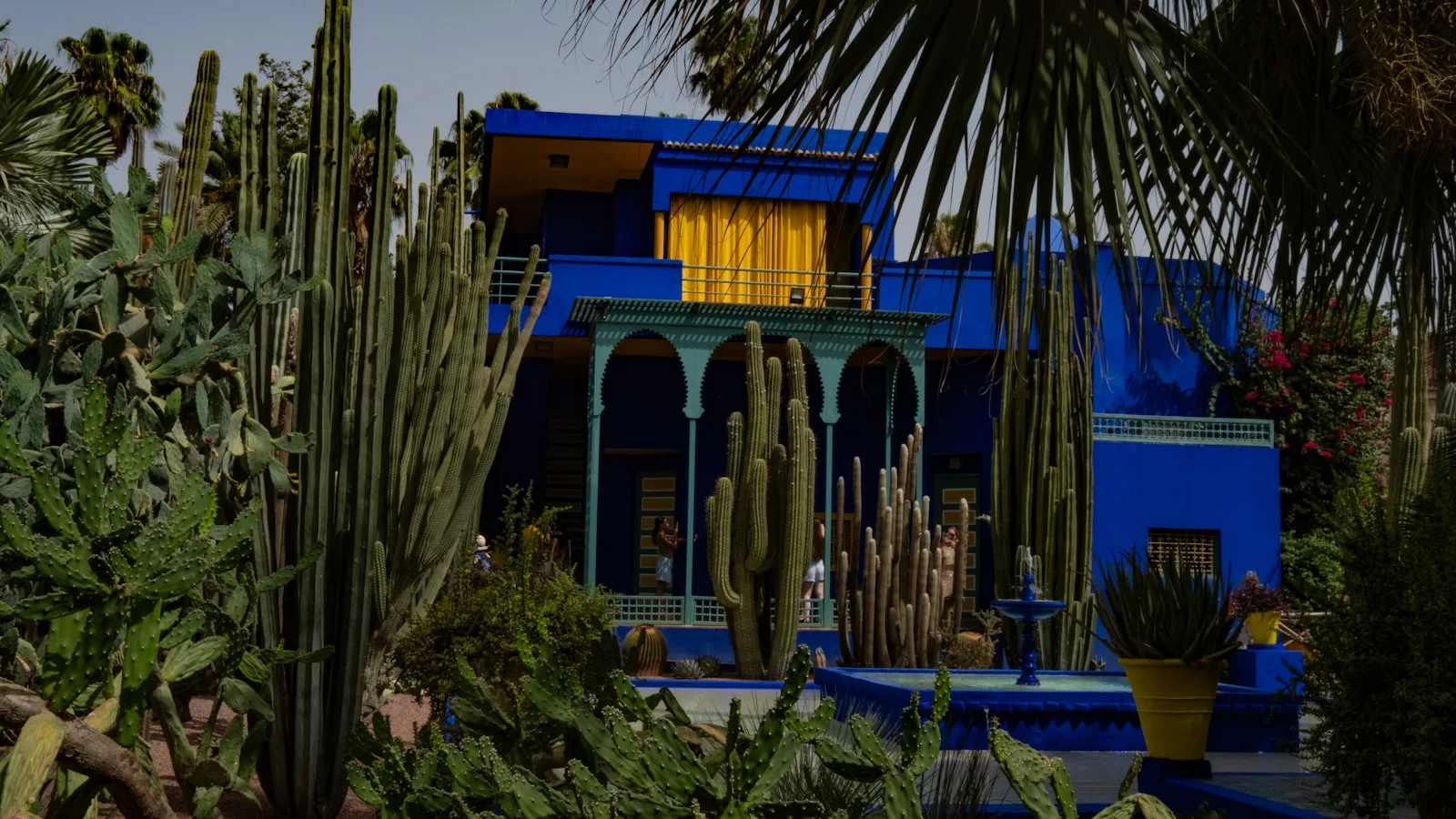 Villa bleu Majorelle entouree de cactus et de palmiers au jardin Majorelle